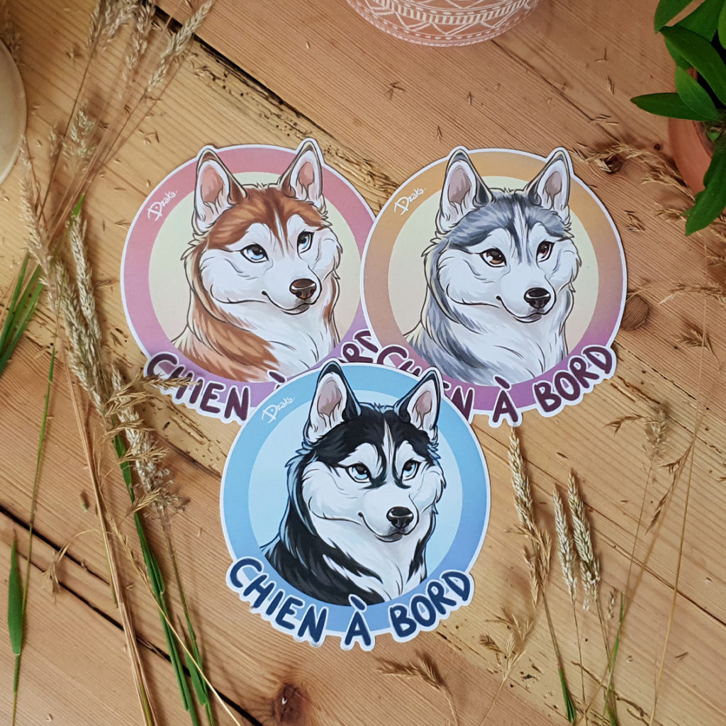 Sticker Auto • Husky • 3 variations de couleurs – Dzaka